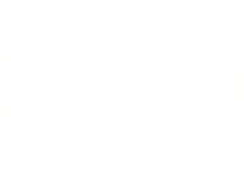 New York Beer Project — Lockport